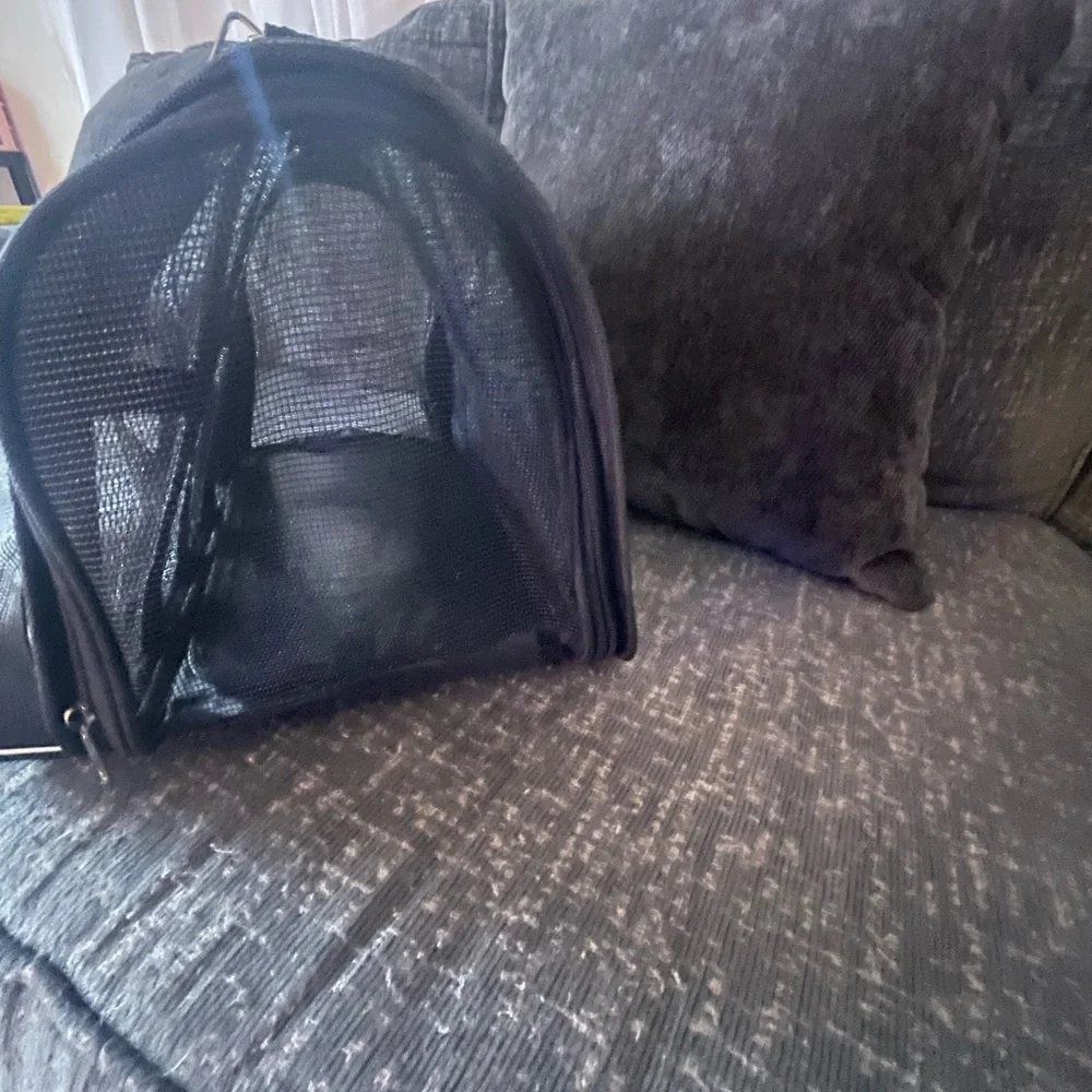 Small animal carrier